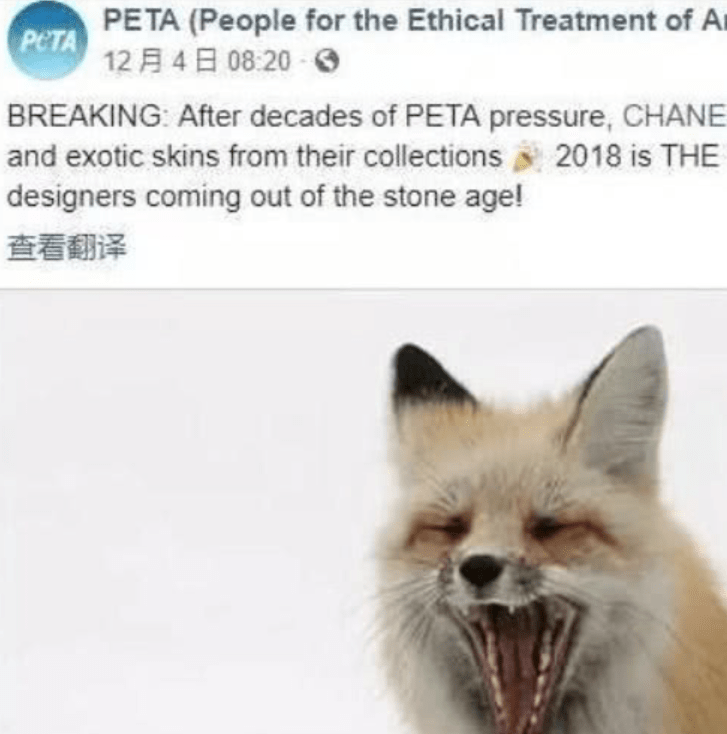 Screen Shot 2018-12-11 at 1.40.28 AM.png